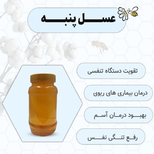 عسل درجه 1 (پنبه) 500 گرمی