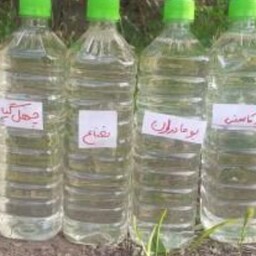 عرق کاسنی خانگی 