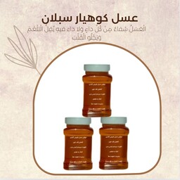 عسل طبیعی گشنیز کوهیار (3 کیلویی) ارسال رایگان خرید از زنبوردار