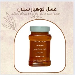 عسل طبیعی گشنیز ( یک کیلویی) ارسال رایگان خرید از زنبوردار