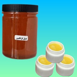 ترکیب ژل رویال با عسل طبیعی گزانگبین (30 گرم ژل رویال و یک کیلو عسل گزانگبین )