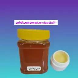 ترکیب ژل رویال با عسل طبیعی گزانگبین (20 گرم ژل رویال با نیم کیلو عسل) 