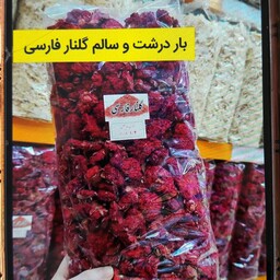 گلنار فارسی اصل درشت بسته 100 گرمی