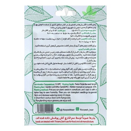 بذر باقلا 6گرمی رویش بذر بذر گیاه تخم گیاه 