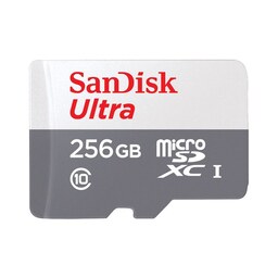 کارت حافظه سن دیسک 256GB سرعت 100mb کلاس 10 