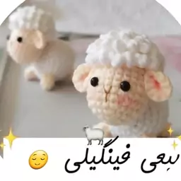 جاکلیدی ببعی بافتنی