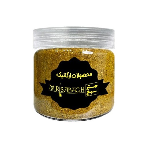 ادویه آبگوشت ممتاز مسترسبغ - 220 گرم