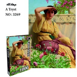 پازل 1000تکه میعادگاه(3269) جیوانی