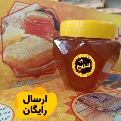 عسل طبیعی چهل گیاه  نیم کیلویی  