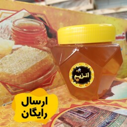 عسل طبیعی آویشن نیم کیلویی