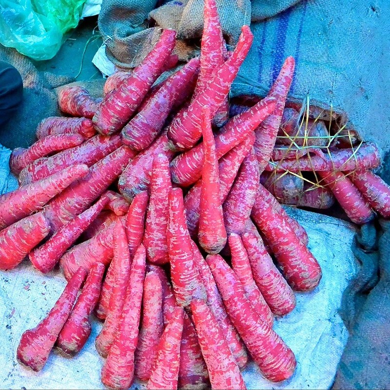 بذر هویج قرمز 1 گرم 
