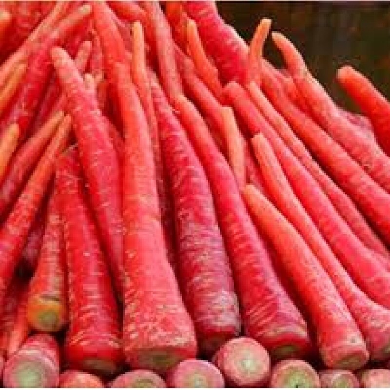 بذر هویج قرمز 1 گرم 