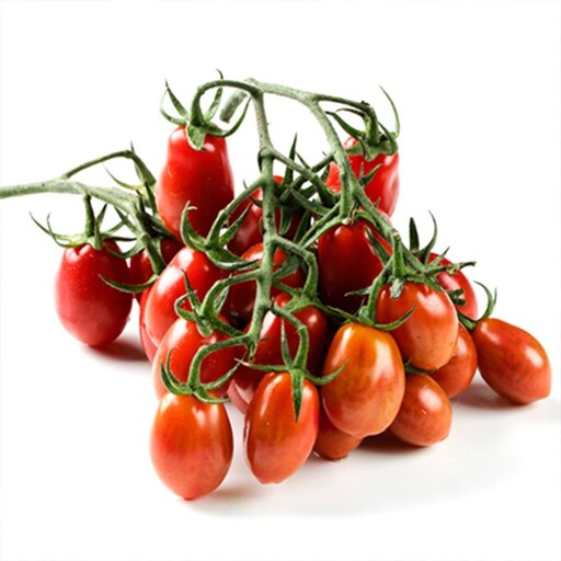 بذر گوجه فرنگی خوشه ای داترینو 20 عددی 