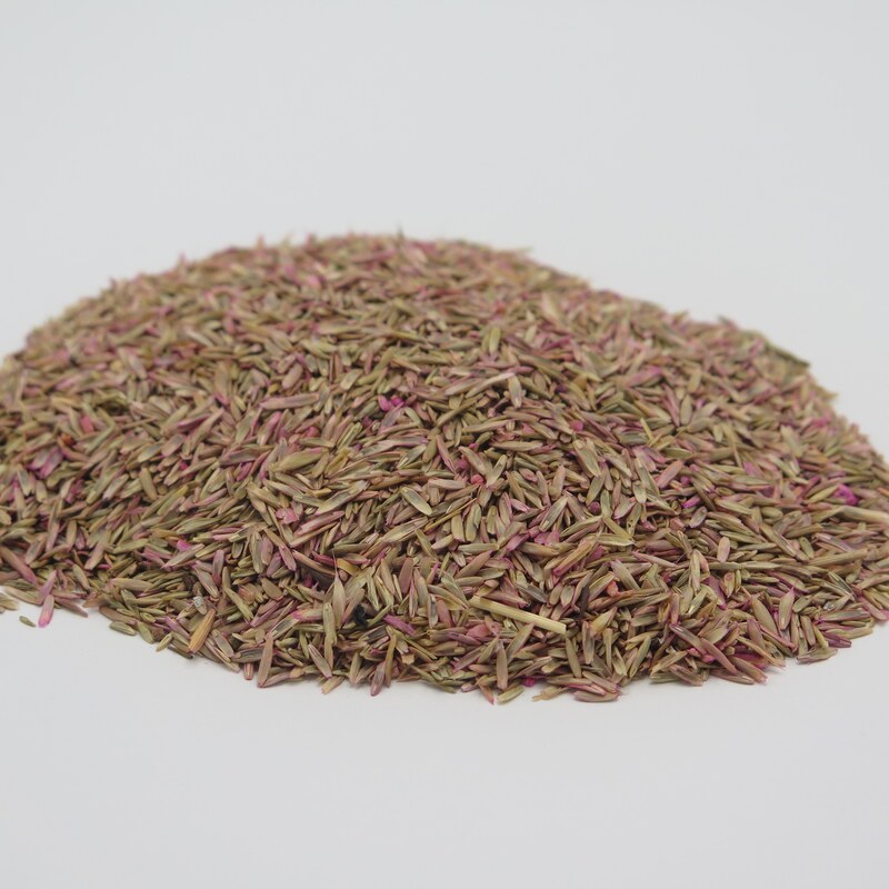 بذر چمن ایرانی 50 گرم 