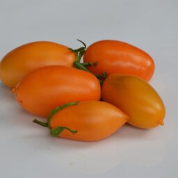 بذر گوجه فرنگی قندیل یخی نارنجی 10 عددی 