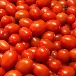 بذر گوجه فرنگی ws 4040 (40عددی )