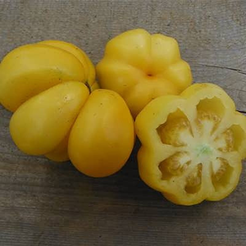 بذر گوجه فرنگی دلمه ای زرد 5 عددی 