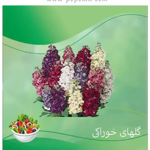 بذر گل شب بو خوراکی 20 عددی 