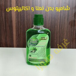 شامپو بدن نعنا و اکالیپتوس ،بهبود بوی بد بدن و پا،روشن شدن نواحی تیره،ضد جوش ضد تعریق  خوشبو کننده