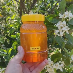 عسل طبیعی شکوفه بهار نارنج (یک کیلویی)ارسال رایگان 