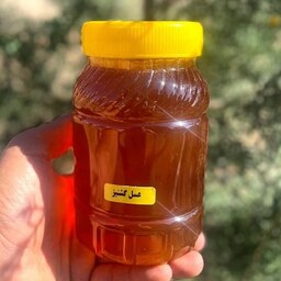 عسل دیابتی گشنیز (یک کیلویی)