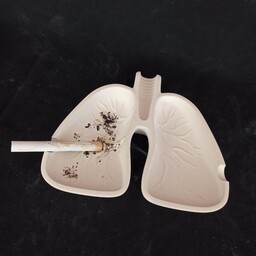 زیر سیگاری سنگ مصنوعی طرح ریه ، زیرسیگاری بتنی مدل ریه ، زیر سیگاری سنگی به شکل ریه و شش انسان ، جای سیگار ، جاسیگاری