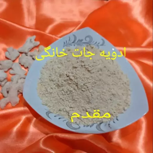 پودر زنجبیل اعلا 