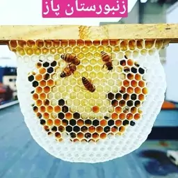 ژل انگبین 10 درصد