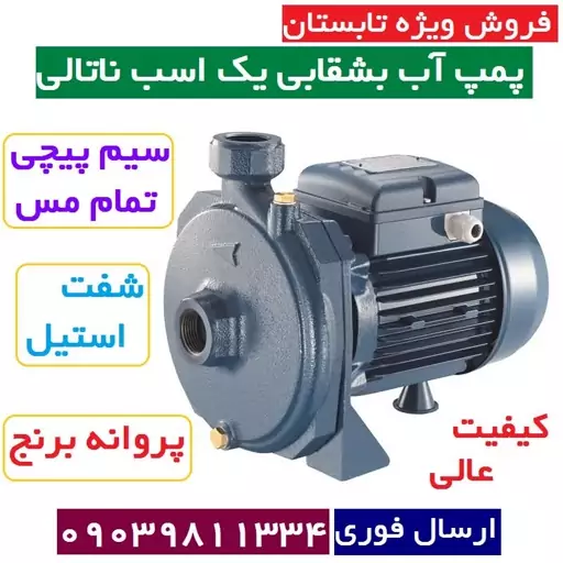 پمپ آب یک اسب بشقابی ناتالی بدون صدا سیم پیچی مس شفت استیل پروانه برنج ارتفاع بالا پمپ آب خانگی  بی صدا ناتالی