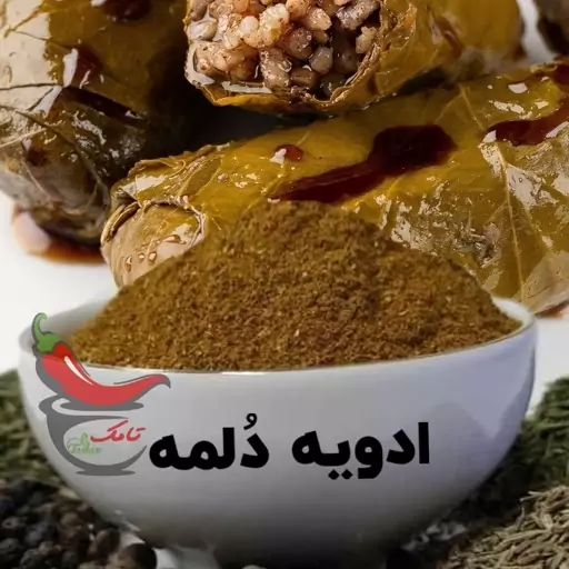 چاشنی دلمه (100 گرمی)