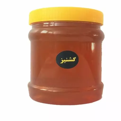 عسل گشنیز 1کیلوگرم