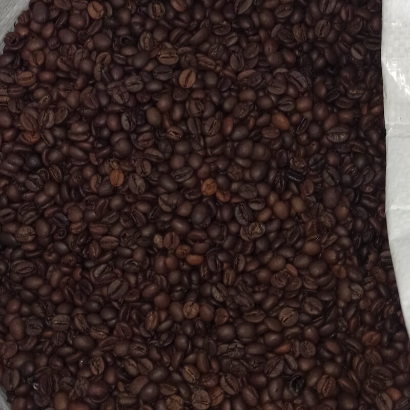 واردات و تولیدانواع قهوه تازه و پودریجات(هات چاکلت و ...)