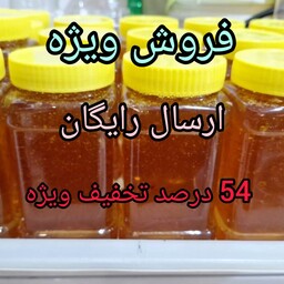 عسل گون طبیعی (طرح فروش ویژه محدود) 1000 گرمی 