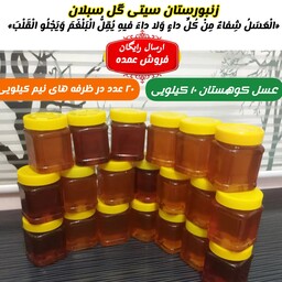 عسل کوهستان خام ساکارز2درصدفروش عمده 10 کیلو(در ظرف های نیم کیلویی)ارسال رایگان