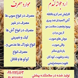 پودر جوانه گندم