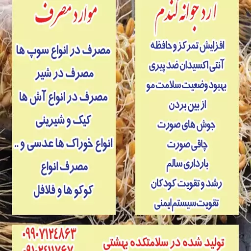 پودر جوانه گندم