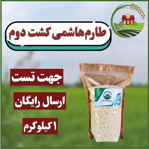 برنج کشت دوم طارم هاشمی فریدونکنار - نمونه تستی 1 کیلویی 