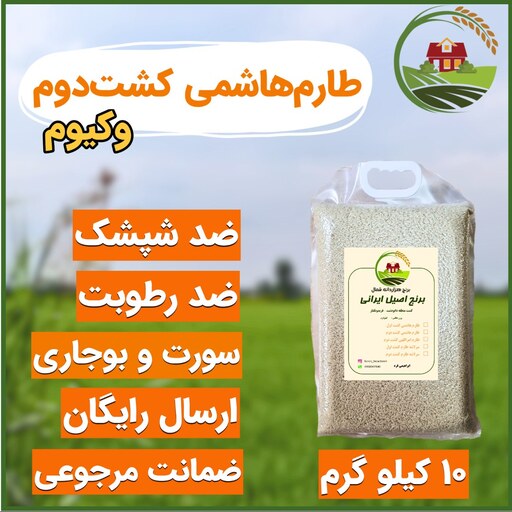 برنج کشت دوم طارم هاشمی فریدونکنار - بسته بندی وکیوم - 10 کیلویی - ضمانت مرجوعی بی قید و شرط