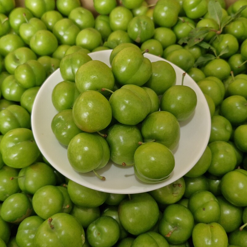 گوجه سبز  اعلا مازندران  خرید از مزرعه 5 کیلو