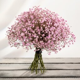 بذر گل ژیپسوفیلیا یا گل عروس صورتی - Pink Gypsophila Seed