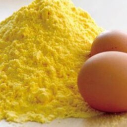 پودر زرده تخم مرغ (1ونیم کیلوگرمی)