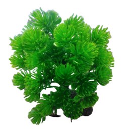 گیاه برگ گندمی مصنوعی در سایز متوسط و جنس پلاستیک سبز رنگ