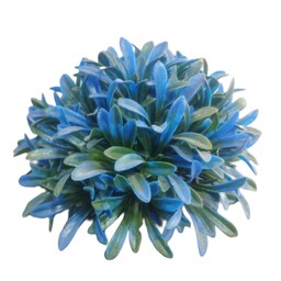 گیاه آکواریومی بزرگ دسته گلی رنگ سبز آبی