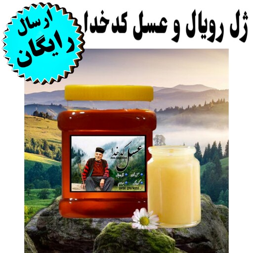 ژل رویال خالص کدخدا (مخلوط10 گرم ژل رویال با250 گرم شهد  عسل طبیعی جنگلی )(ارسال فوری)(مستقیم از زنبوردار)