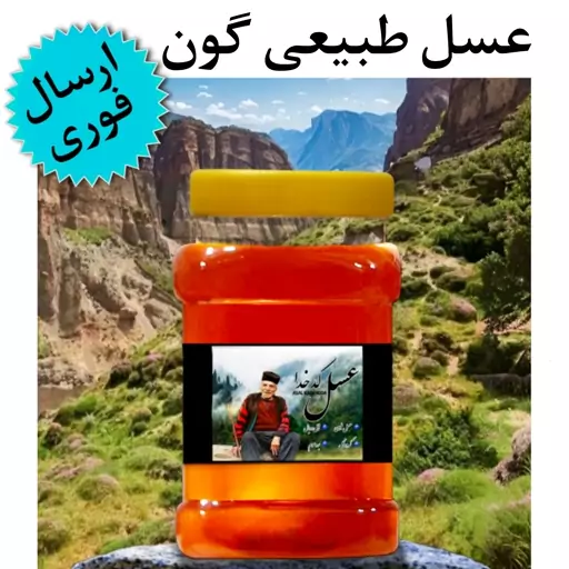 عسل طبیعی گون آویشن کدخدا (شهد)(1کیلوگرم)(ارسال فوری)(مستقیم از زنبوردار)