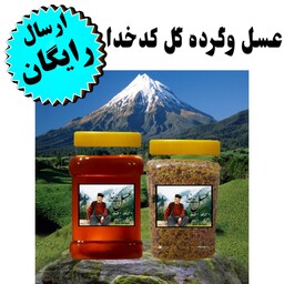 عسل طبیعی جنگلی  و گرده گل کوهی  کدخدا(شهد عسل1 کیلوگرم و گرده گل 500 گرم)(ارسال فوری)(مستقیم از زنبوردار)