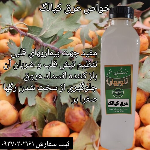 عرق کیالک