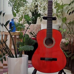 گیتار رنگ قرمز دیاموند همراه با کیف ضد ضربه و پیک(مضراب) و با ارسال فوری