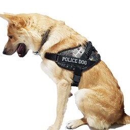 قلاده سگ مدل Police Dog کد سایز  بزرگ