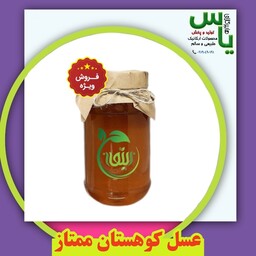 عسل کوهستان ممتاز طبیعی و درمــانی با ضمانت کیفیت و تضمین مرجوعی وجه.   هایپرکالای یاس